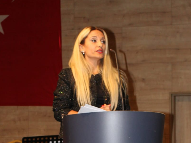 Başlıksız 2334