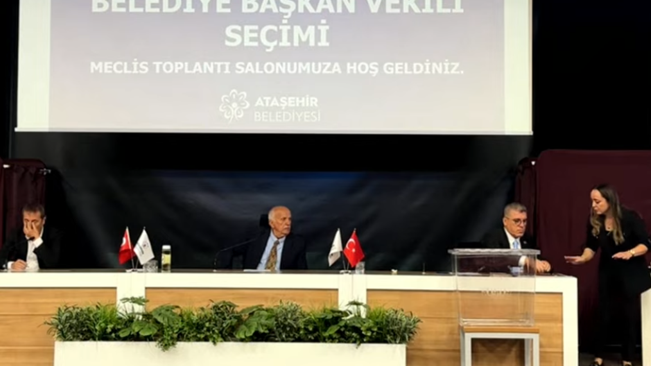 Baskan Vekilligii