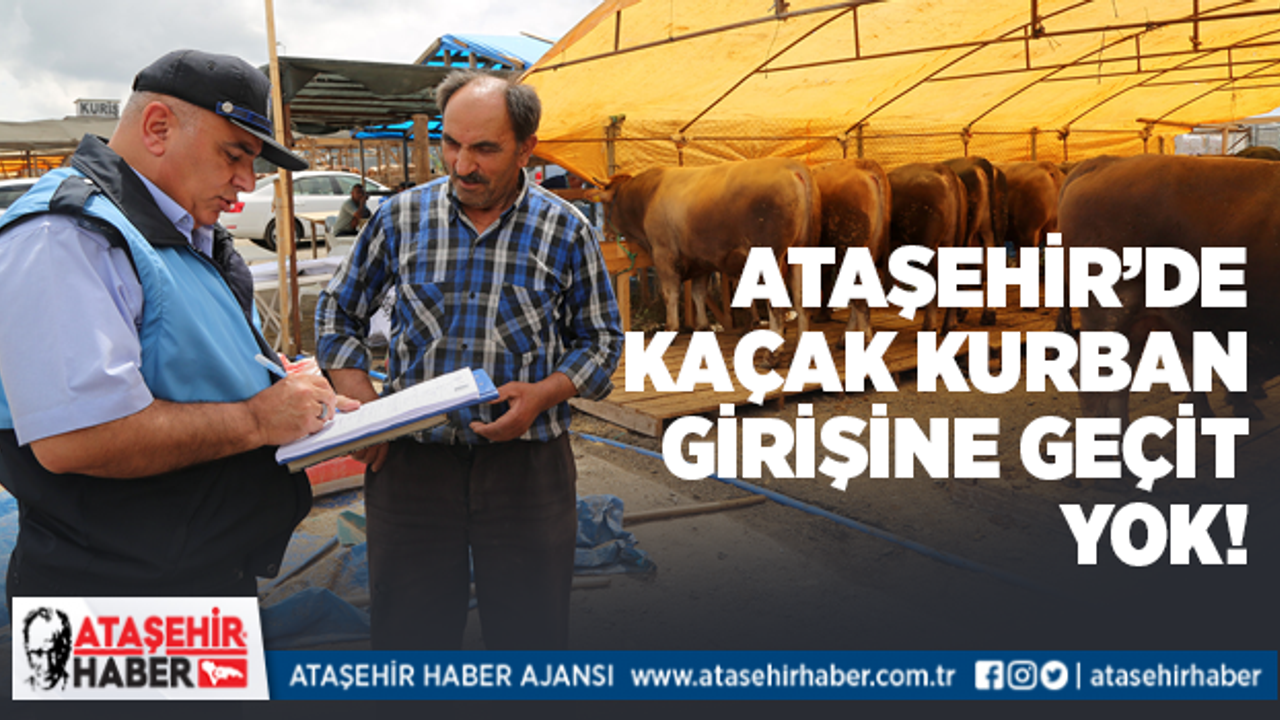 Ataşehir'de kaçak hayvanlara geçit verilmiyor