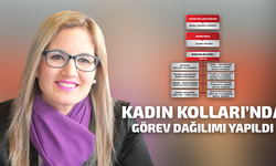 CHP Ataşehir İlçe Kadın Kolları'nda Görev Dağılımı Belli Oldu