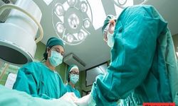 Palandöken : “Doktor Dizilerinde Sağlık Turizmi Konusu İşlenmeli”