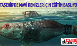Ataşehir'de daha mavi deniz eğitimleri başlıyor