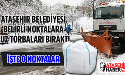 Ataşehir Belediyesi İlçe Genelindeki Tuz Noktalarını Açıkladı