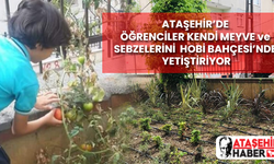 Ataşehir'de öğrenciler kendi meyve ve sebzelerini hobi bahçesinde yetiştiriyor