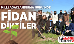 Ataşehir'de Milli Ağaçlandırma Günü'nde Fidanlar Toprakla Buluştu