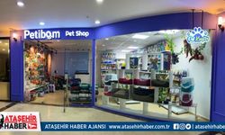 Ataşehir'in En iyi Kedi & Köpek Kuaförü Petibom 5 Altın Kural Açıkladı