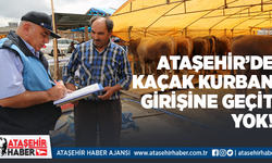 Ataşehir'de kaçak hayvanlara geçit verilmiyor