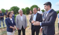 Ataşehir'in Barınak Sorunu için 3 Kurum Yöneticileri İncelemelerde Bulundu