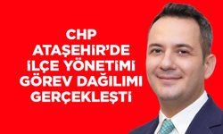 CHP ATAŞEHİR'DE YENİ YÖNETİMİN GÖREVLERİ BELLİ OLDU