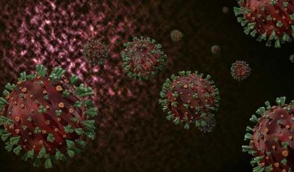 Aşı ile insana verilen antikorun mutasyona uğrayan virüsü tanımaması beklenen bir gelişme değil 