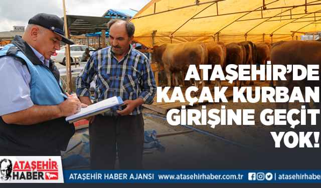 Ataşehir'de kaçak hayvanlara geçit verilmiyor