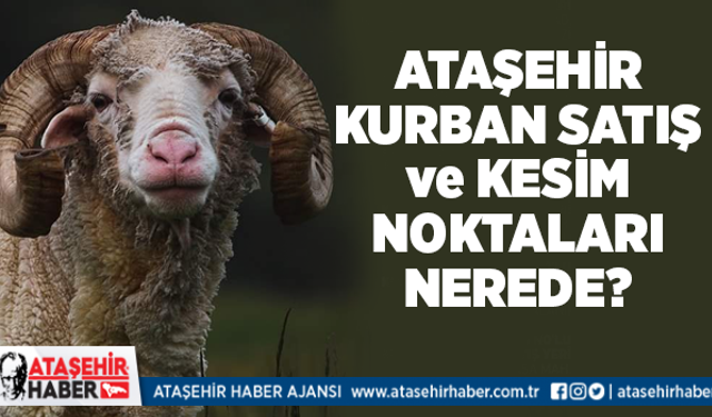 Ataşehir'in kurban satış ve kesim noktaları belli oldu