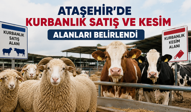 ATAŞEHİR’DE KURBANLIK SATIŞ VE KESİM ALANLARI BELİRLENDİ