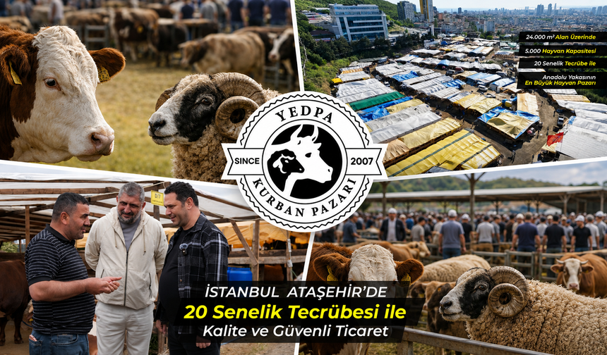 YEDPA KURBAN PAZARI KURBAN BAYRAMINA HAZIR