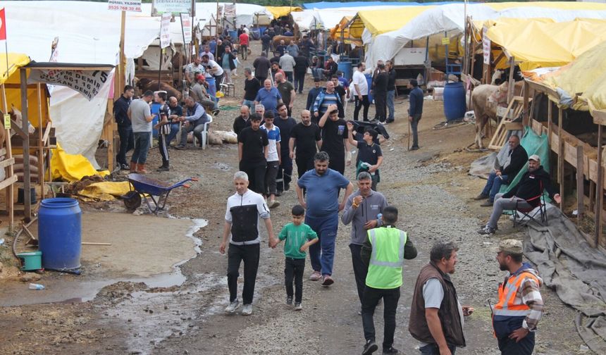 YEDPA KURBAN PAZARI’NDA BAYRAM HAREKETLİLİĞİ: KURBANLIKLARDA SONA YAKLAŞILIYOR